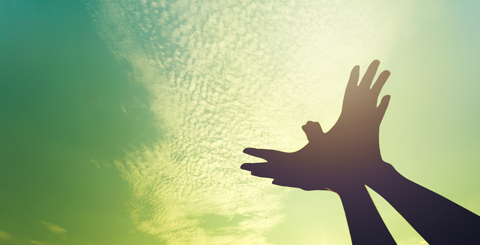 あなたの闘病を支える力に
PVとET患者さんのための医療費助成サポート