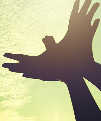 あなたの闘病を支える力に
PVとET患者さんのための
医療費助成サポート